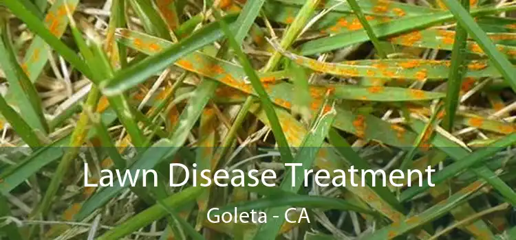  Lawn Disease Treatment Goleta - CA
