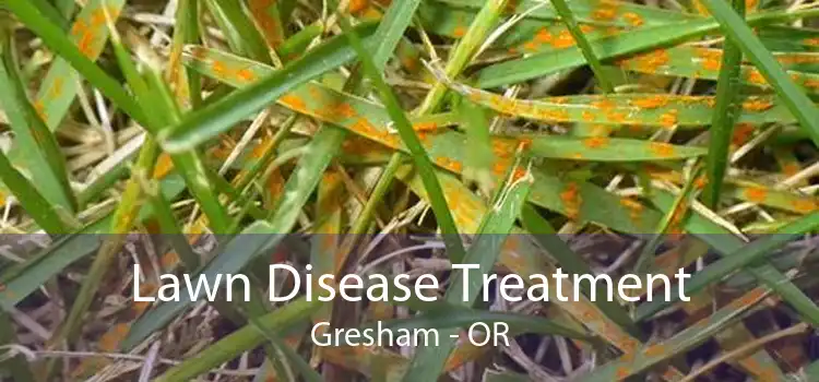 Lawn Disease Treatment Gresham - OR