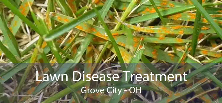 Lawn Disease Treatment Grove City - OH