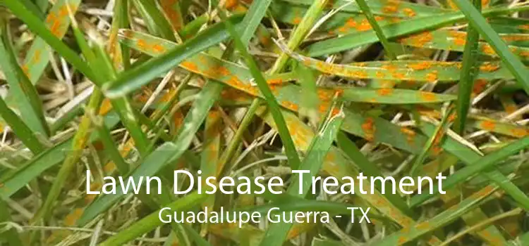 Lawn Disease Treatment Guadalupe Guerra - TX