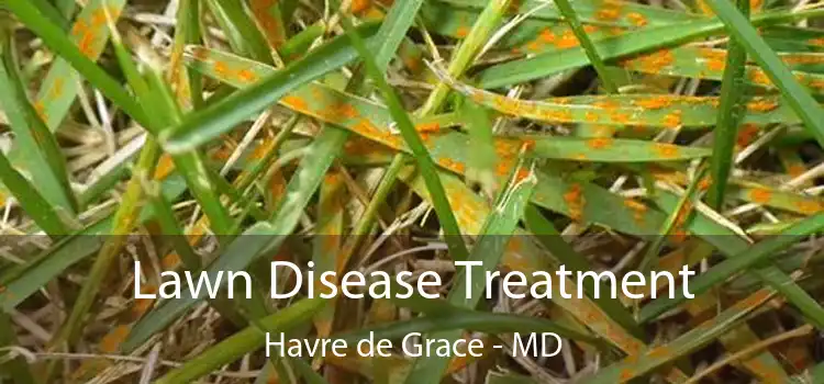 Lawn Disease Treatment Havre de Grace - MD