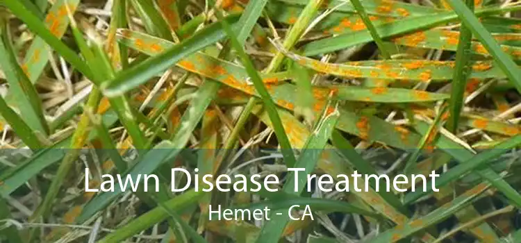 Lawn Disease Treatment Hemet - CA
