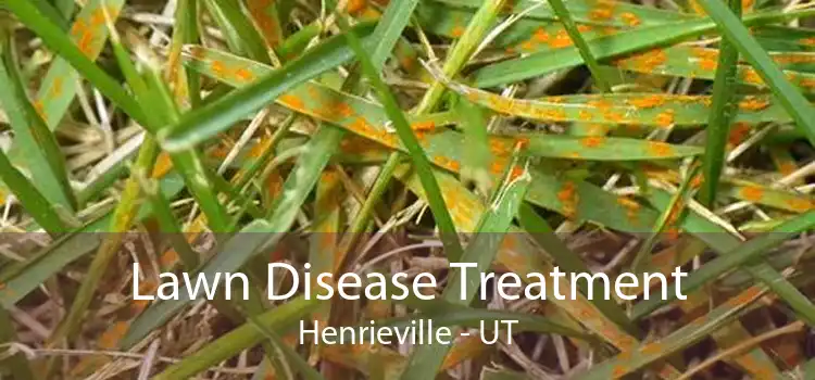 Lawn Disease Treatment Henrieville - UT