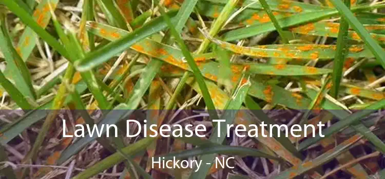 Lawn Disease Treatment Hickory - NC