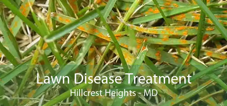 Lawn Disease Treatment Hillcrest Heights - MD