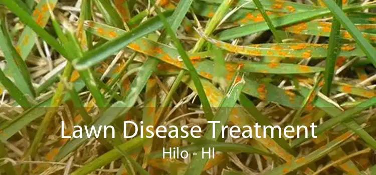 Lawn Disease Treatment Hilo - HI