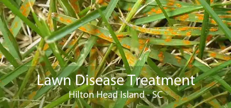 Lawn Disease Treatment Hilton Head Island - SC