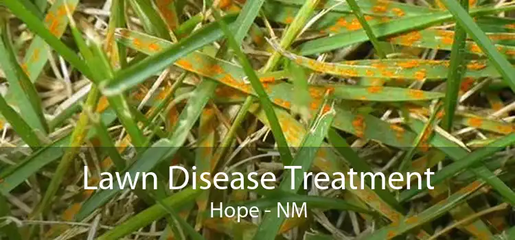 Lawn Disease Treatment Hope - NM