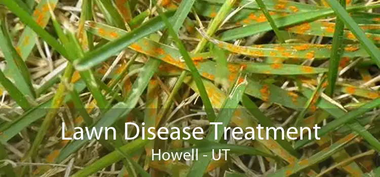 Lawn Disease Treatment Howell - UT