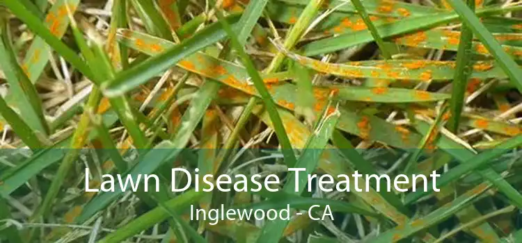 Lawn Disease Treatment Inglewood - CA