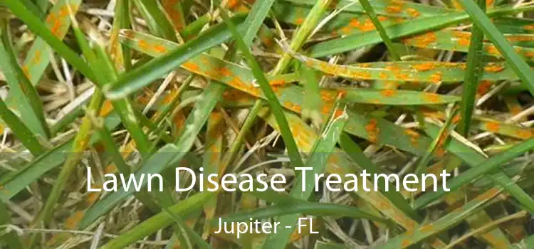 Lawn Disease Treatment Jupiter - FL