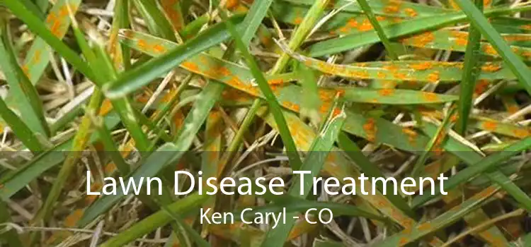 Lawn Disease Treatment Ken Caryl - CO