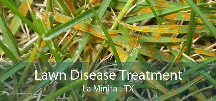 Lawn Disease Treatment La Minita - TX