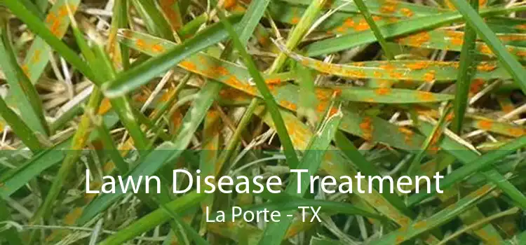 Lawn Disease Treatment La Porte - TX