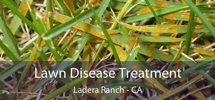 Lawn Disease Treatment Ladera Ranch - CA