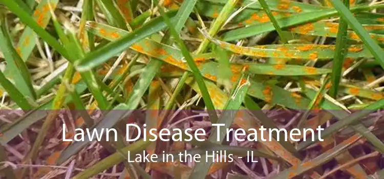 Lawn Disease Treatment Lake in the Hills - IL