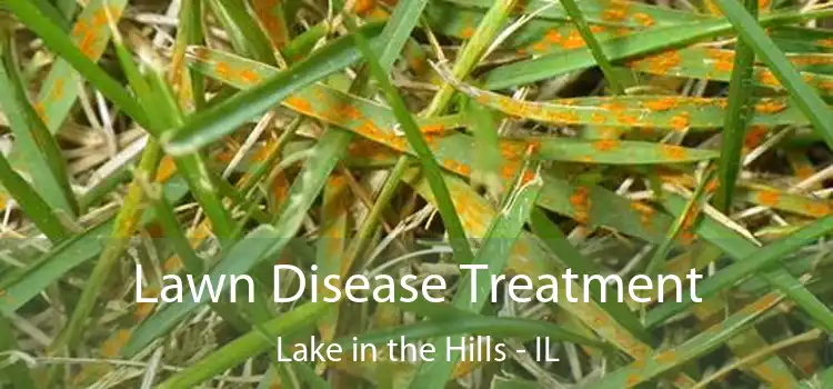  Lawn Disease Treatment Lake in the Hills - IL