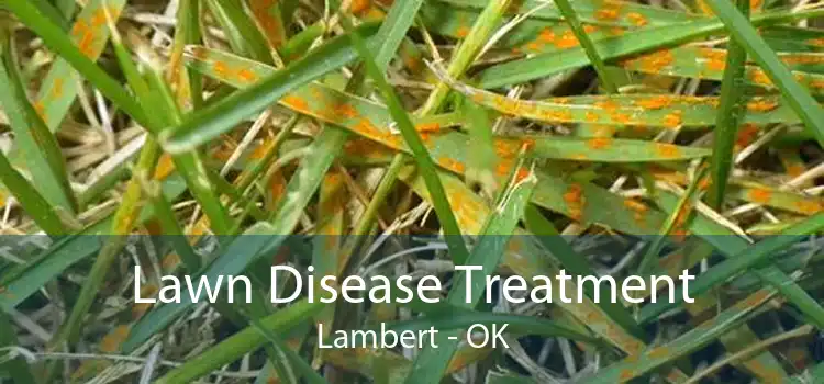  Lawn Disease Treatment Lambert - OK