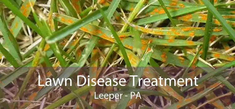 Lawn Disease Treatment Leeper - PA