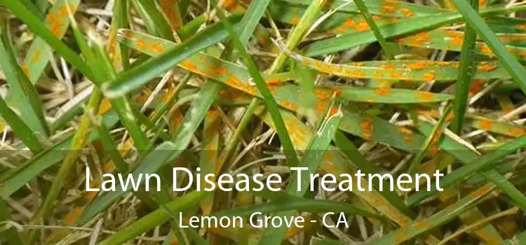 Lawn Disease Treatment Lemon Grove - CA