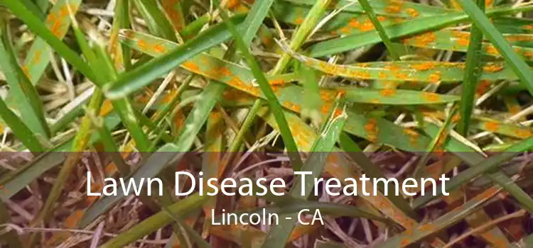 Lawn Disease Treatment Lincoln - CA