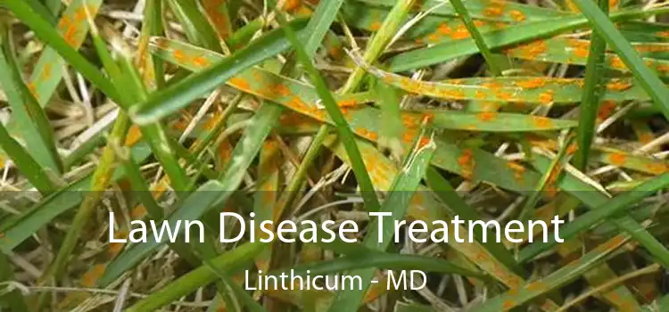 Lawn Disease Treatment Linthicum - MD