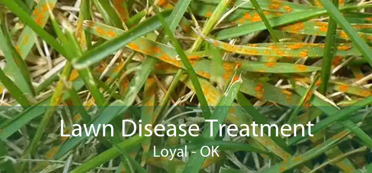 Lawn Disease Treatment Loyal - OK