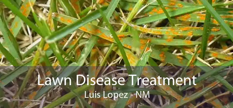Lawn Disease Treatment Luis Lopez - NM