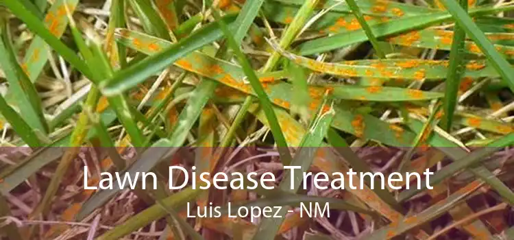 Lawn Disease Treatment Luis Lopez - NM