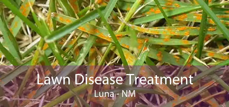 Lawn Disease Treatment Luna - NM