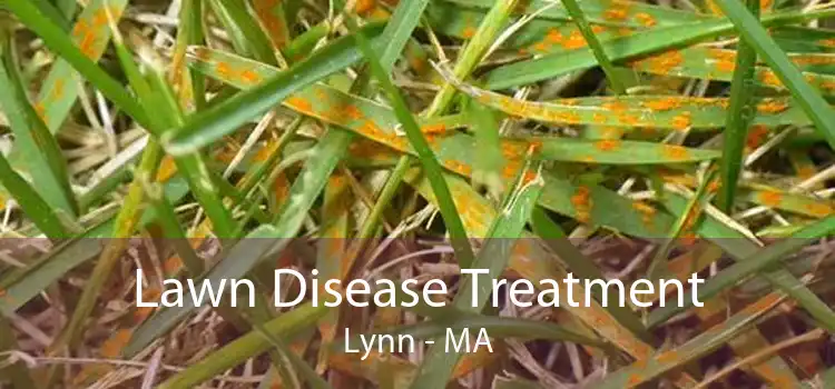 Lawn Disease Treatment Lynn - MA