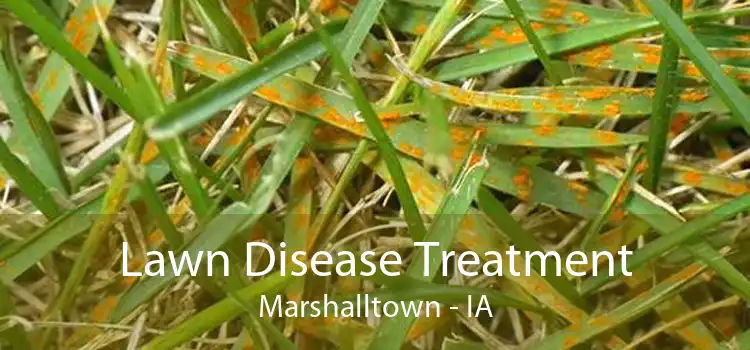 Lawn Disease Treatment Marshalltown - IA