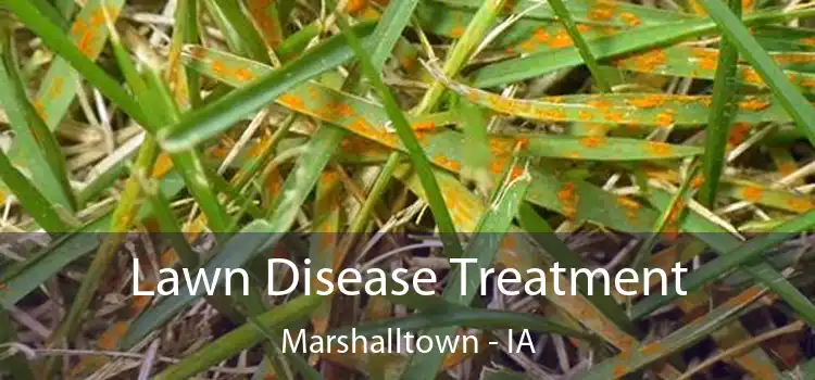 Lawn Disease Treatment Marshalltown - IA