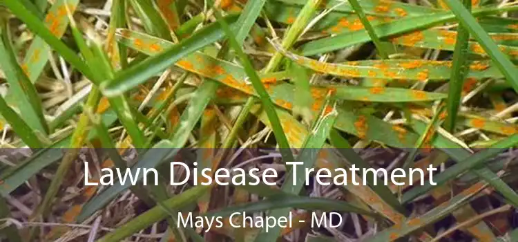  Lawn Disease Treatment Mays Chapel - MD