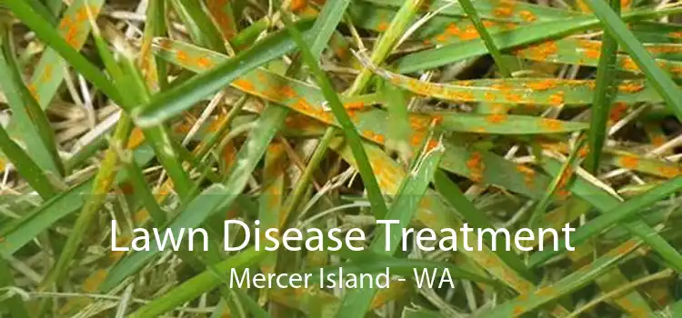 Lawn Disease Treatment Mercer Island - WA