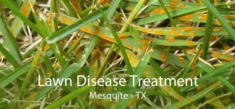 Lawn Disease Treatment Mesquite - TX
