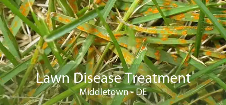 Lawn Disease Treatment Middletown - DE