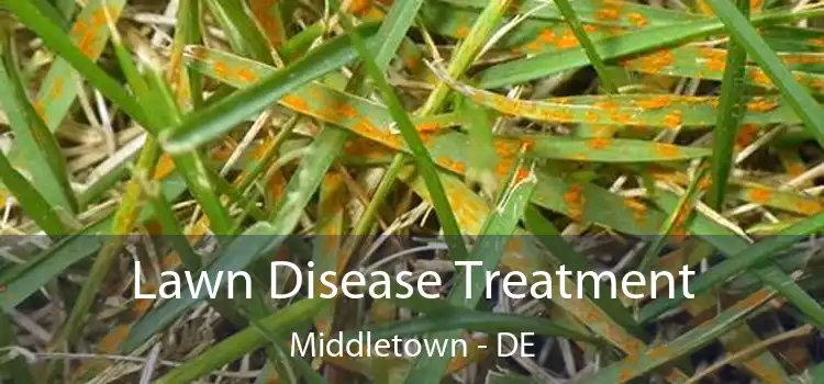  Lawn Disease Treatment Middletown - DE