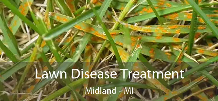 Lawn Disease Treatment Midland - MI
