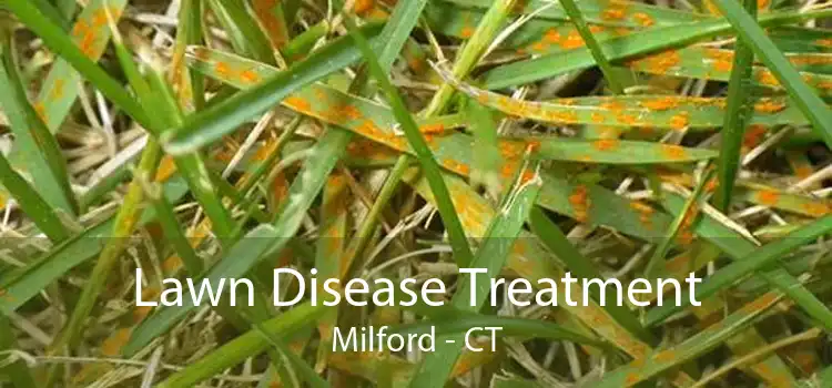 Lawn Disease Treatment Milford - CT