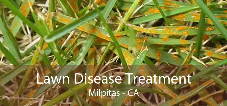 Lawn Disease Treatment Milpitas - CA