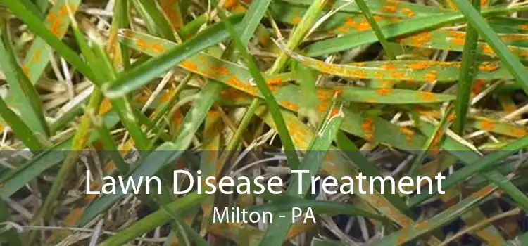 Lawn Disease Treatment Milton - PA