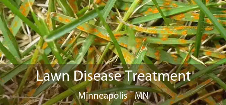 Lawn Disease Treatment Minneapolis - MN
