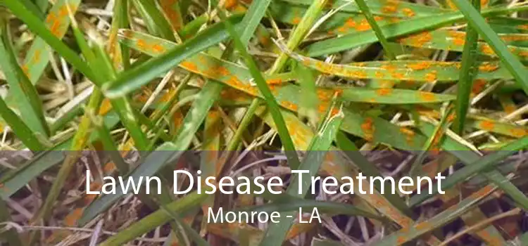 Lawn Disease Treatment Monroe - LA