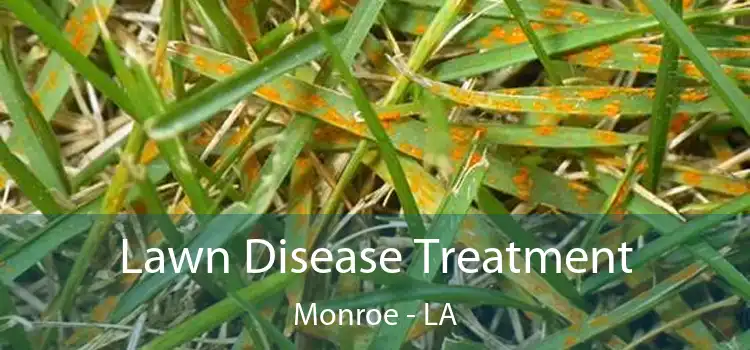  Lawn Disease Treatment Monroe - LA