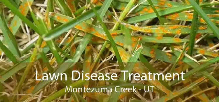Lawn Disease Treatment Montezuma Creek - UT