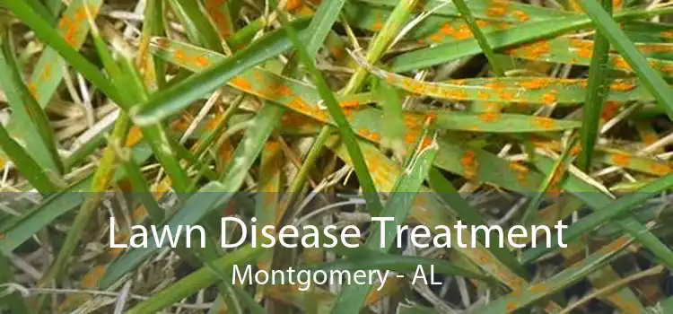 Lawn Disease Treatment Montgomery - AL
