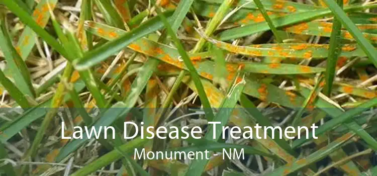 Lawn Disease Treatment Monument - NM