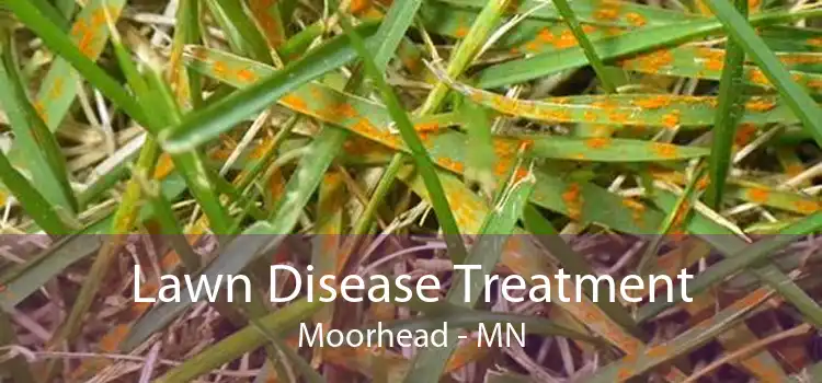 Lawn Disease Treatment Moorhead - MN