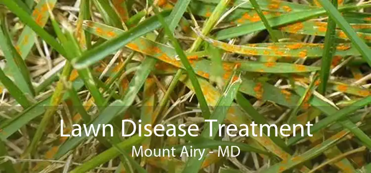 Lawn Disease Treatment Mount Airy - MD